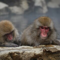 岩盤浴と遠赤外線